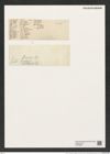Lysigonium muniliforme var.. hispidum D.T. (de-Toni-Nr.: Genus 211, Species 5298) Zeichnungen Sammlung Grunow (NHMW-BOT-W0378892)